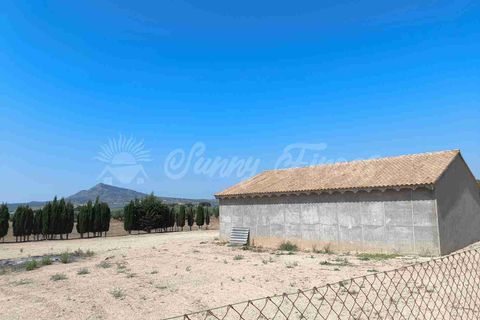 Landejendom i Caudete, Albacete, Caudete - € 95.000 | Ref: SF0539 - foto 2